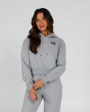 Athletic Heather Salty Crew Alpha Crop Hoody | 87GYWBRDM