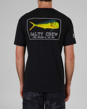 Black Salty Crew Golden Mahi Premium Tee | 82CZGRPQO