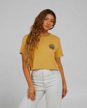 Dusty Gold Salty Crew My Friend Crop Tee | 92WZCMUYX