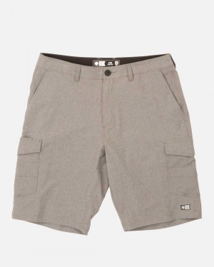 Gray Salty Crew Drifter 2 Cargo Hybrid Short | 69MPROLQG