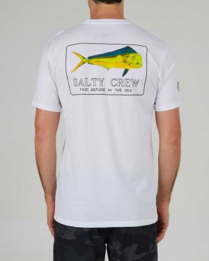 White Salty Crew Golden Mahi Premium Tee | 53QDPSUYB